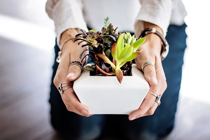 Vertical Pot Displays